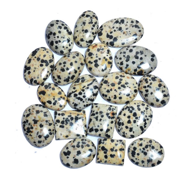 Dalmatian Jasper - Picture 1 of 3